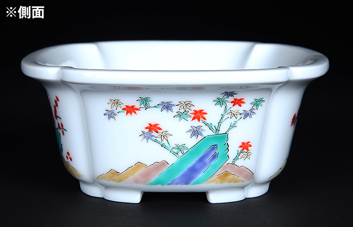 十五代柿右衛門色絵松竹梅外縁木瓜式鉢 | 盆栽、盆栽書籍、盆栽鉢の