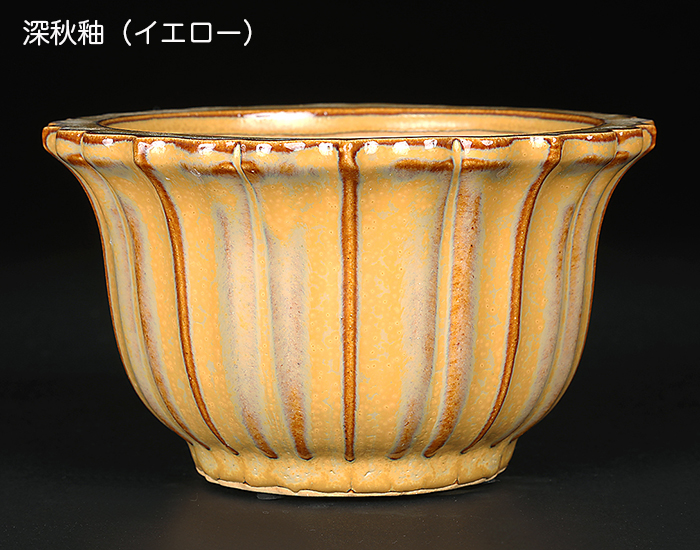 広東古鏡型鉢〔石峰雨竹〕 | 盆栽、盆栽書籍、盆栽鉢の通販│近代出版