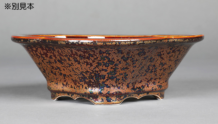 平安泉山辰砂釉星結晶木瓜式鉢(大) | 盆栽、盆栽書籍、盆栽鉢の通販