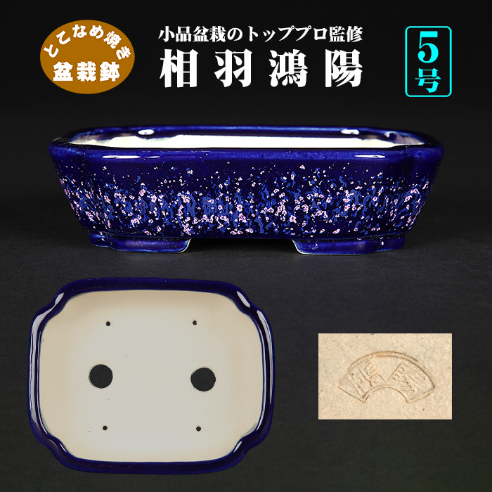 鴻陽陶園 | 盆栽、盆栽書籍、盆栽鉢の通販│近代出版