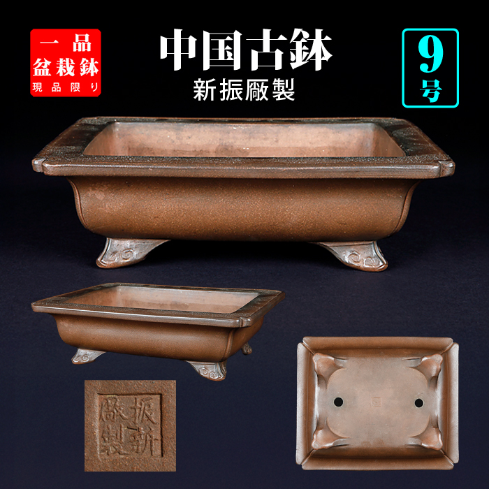 支那鉢（中国古鉢） | 盆栽、盆栽書籍、盆栽鉢の通販│近代出版