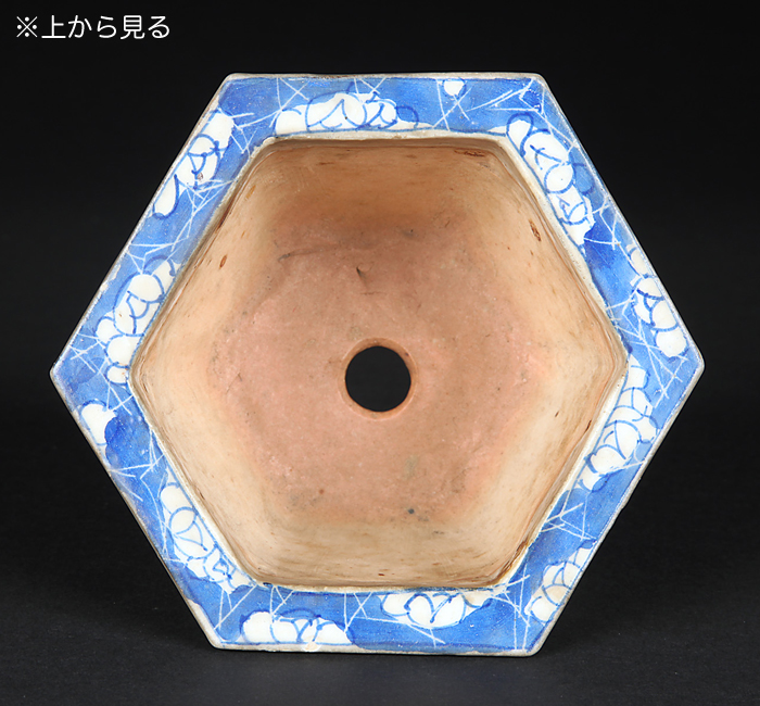 瀬戸染付六角鉢 | 盆栽、盆栽書籍、盆栽鉢の通販│近代出版