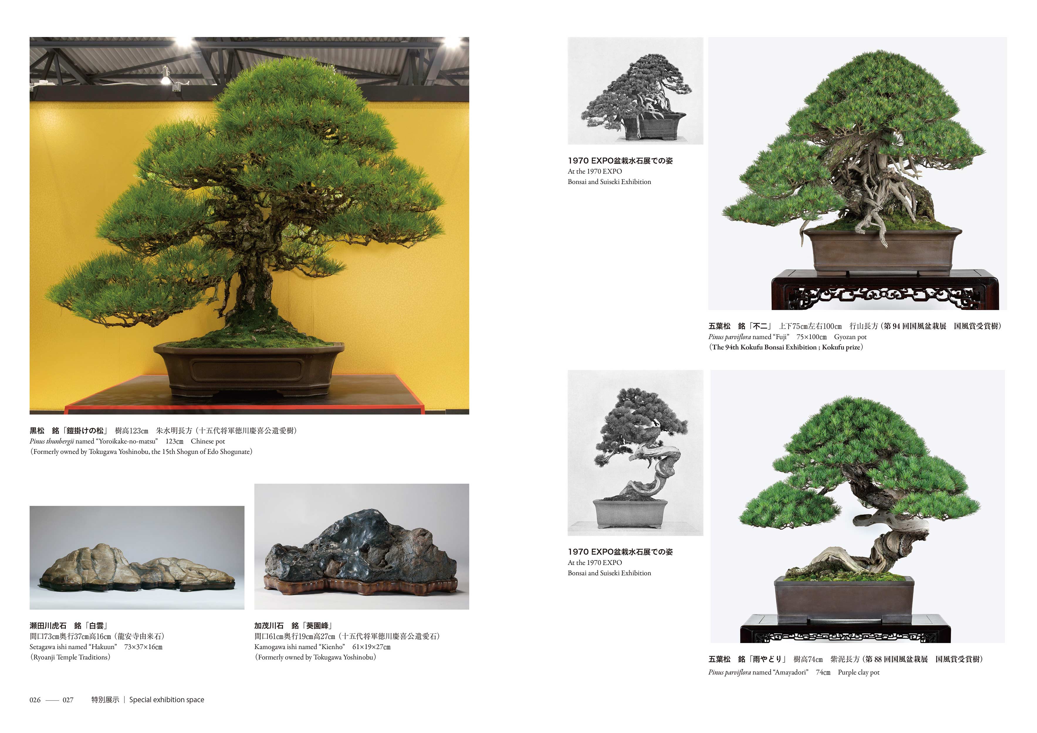 EXPO2025 日本盆栽•水石展記念帳 | 盆栽、盆栽書籍、盆栽鉢の通販