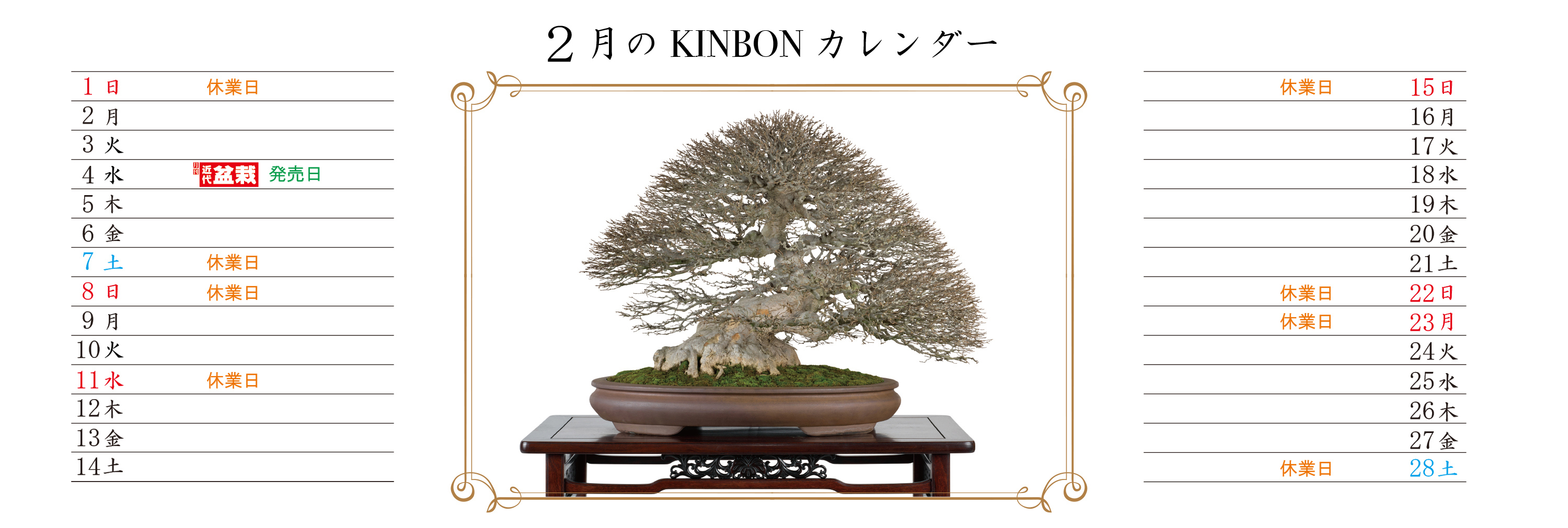 TOPページ | 盆栽、盆栽書籍、盆栽鉢の通販│近代出版