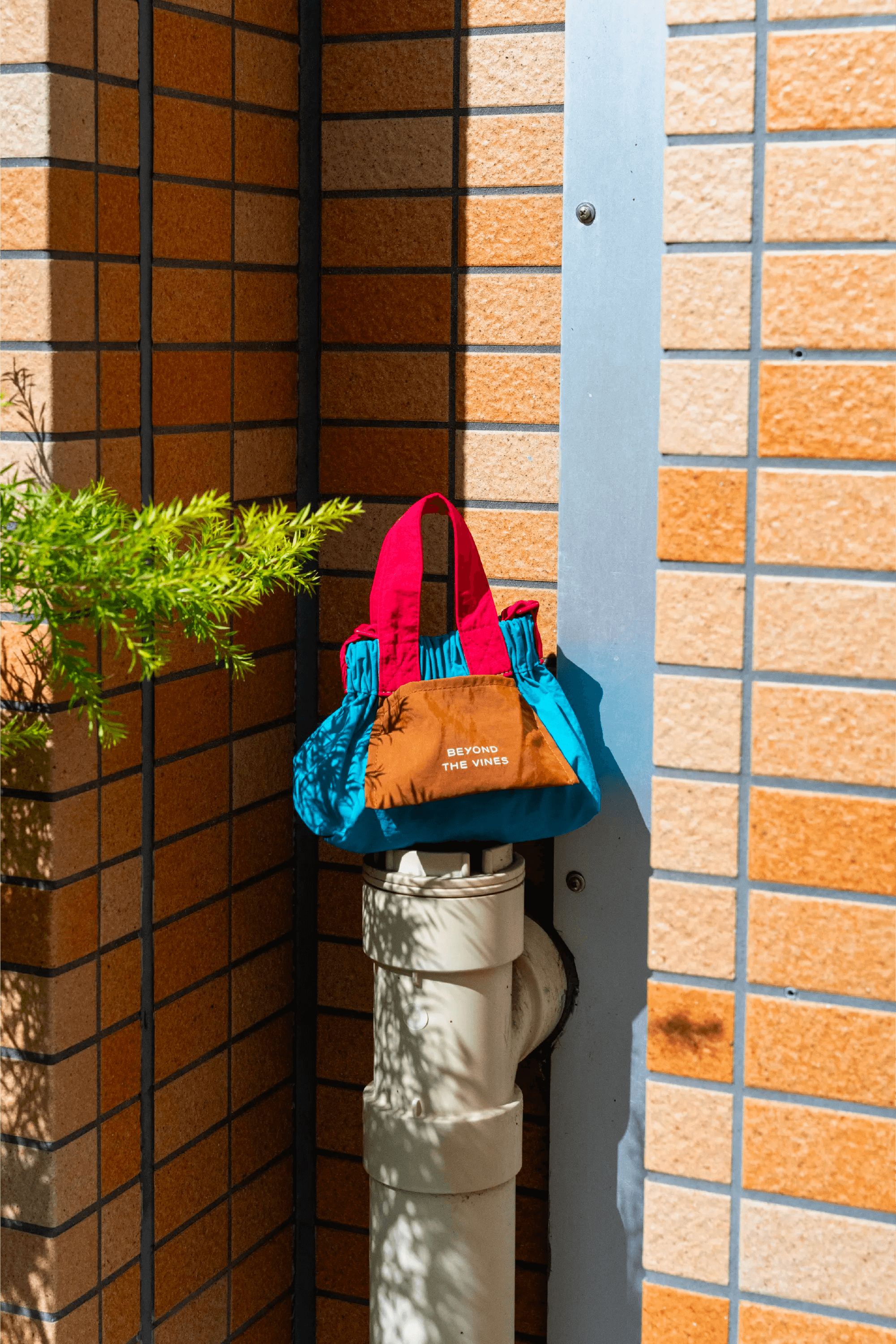 カラーブロックマイクロダンプリングバッグ | Beyond The Vines