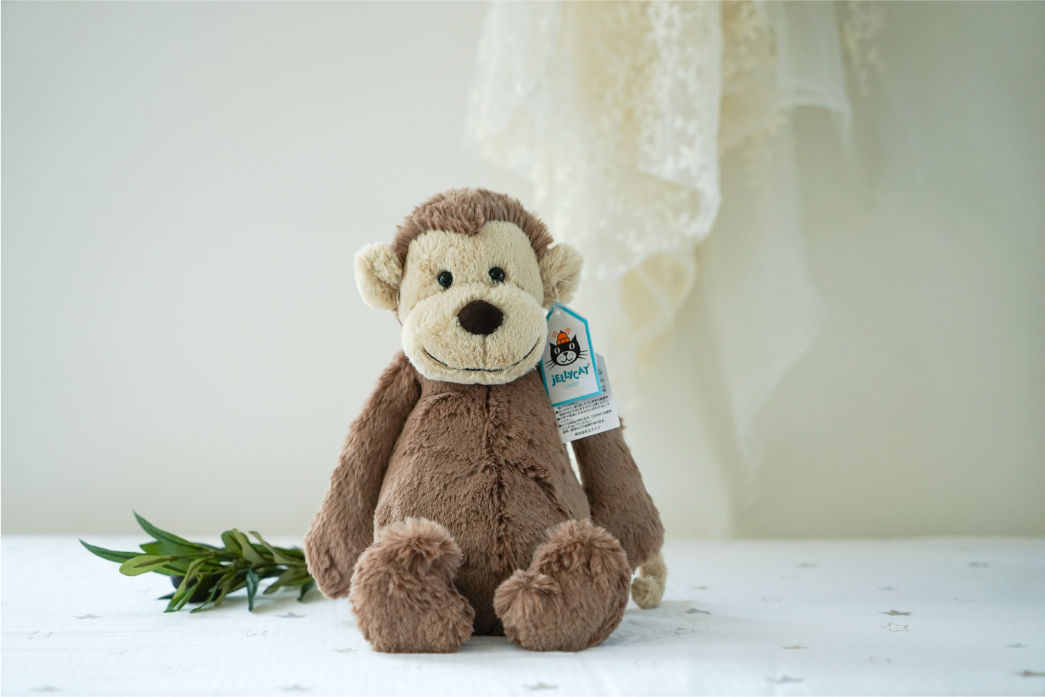 ジェリーキャットの偽物の見分け方って？正規品を安心して購入しま