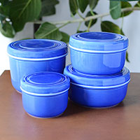 プレマオリジナル 森修焼（しんしゅうやき） 保存容器 大／瑠璃色