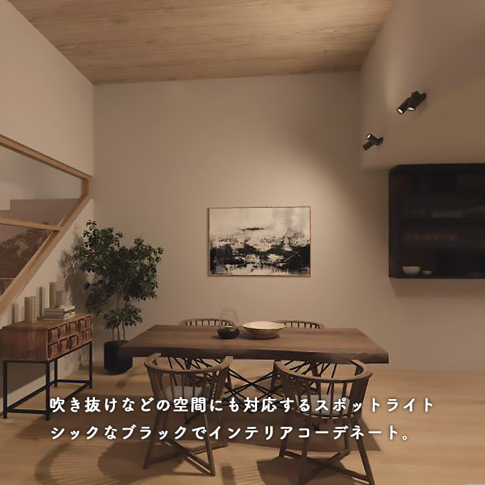 2灯式スポットライト・200W相当 | ブラック｜照明のライティング