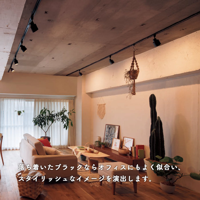 スポットライト・ダクトレール用 60W形相当 拡散光 | ブラック｜照明の
