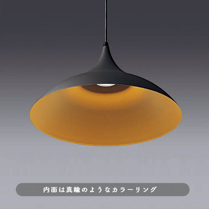 黒鉄色アルミセード ペンダントライト 100W形・ダクトレール専用｜照明