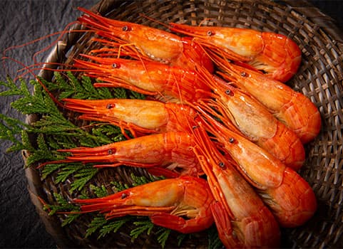 北海しまえび 300g・中サイズ（北海道 浜中産・ボイル冷凍）｜【北海道