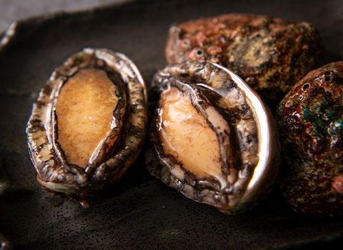 北海道 刺身用 天然えぞあわび（300g）【冷凍・化粧箱入】｜【北海道