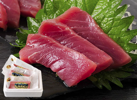 天然本まぐろ【赤身】180g前後×3（北海道 松前沖 津軽海峡産）※6人前