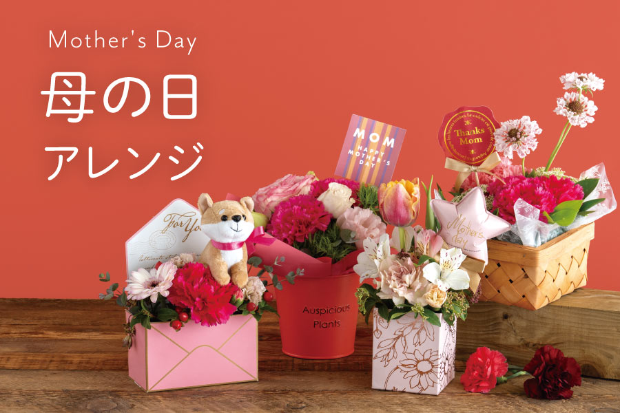 母の日フラワーアレンジメントアイテム｜ギフト、ラッピング用品、包装