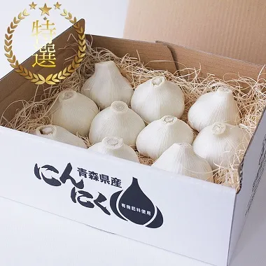 特選にんにく大サイズ｜岡崎商店