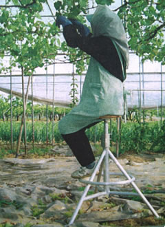 回転イス | 援農市場