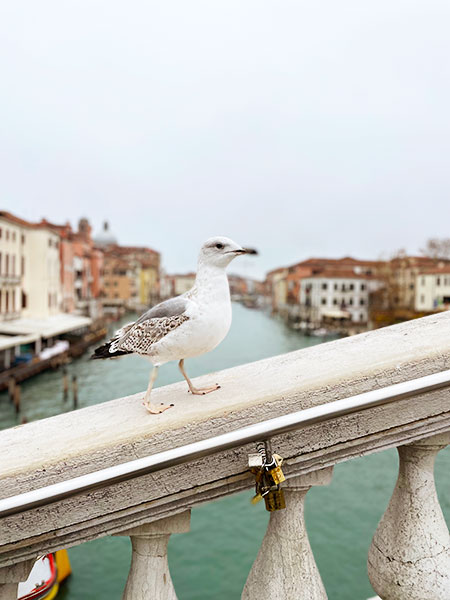 ヴェネツィアのガラス細工【フィレンツェの空の下で】
