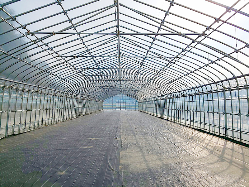 ビニールハウス｜48.6φハウス｜株式会社江口屋｜ビニールハウス、農業