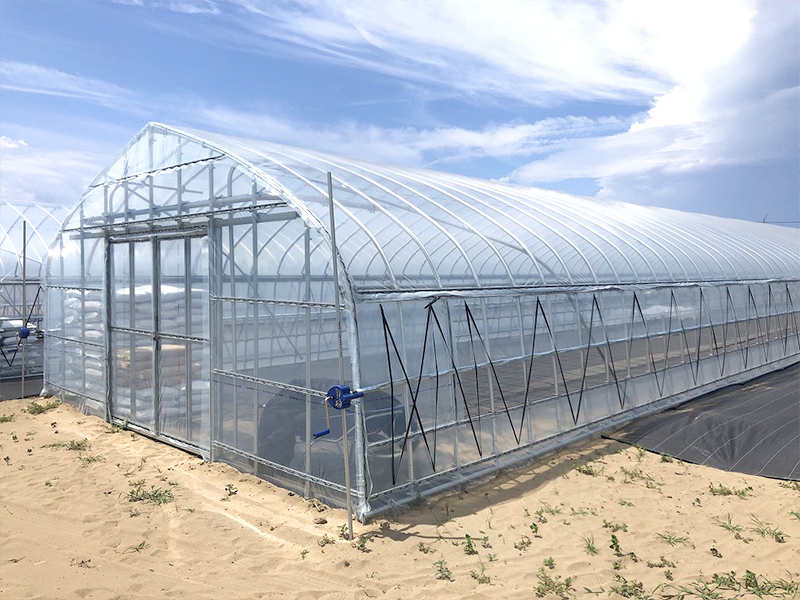 ビニールハウス｜パイプハウス｜株式会社江口屋｜ビニールハウス、農業