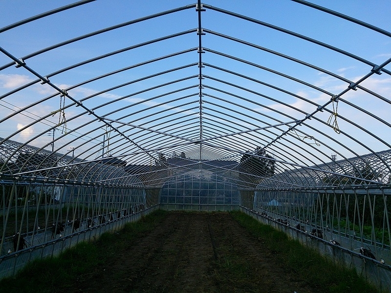 補強】X補強｜株式会社江口屋｜ビニールハウス、農業資材、包装資材の