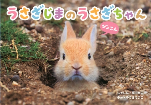 うさぎじまのうさぎちゃん | 福田 幸広,ゆうき えつこ | 3件のレビュー