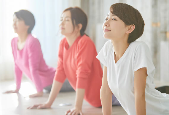 フェースコンディショニングパウダー｜商品情報｜株式会社エリナ