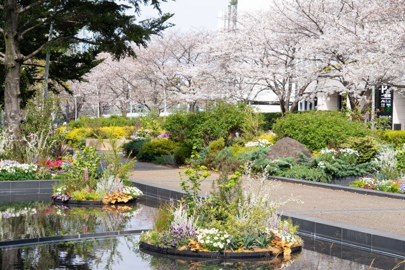 ミッドタウン・ガーデンで春の訪れを感じる「MIDTOWN BLOSSOM 2024