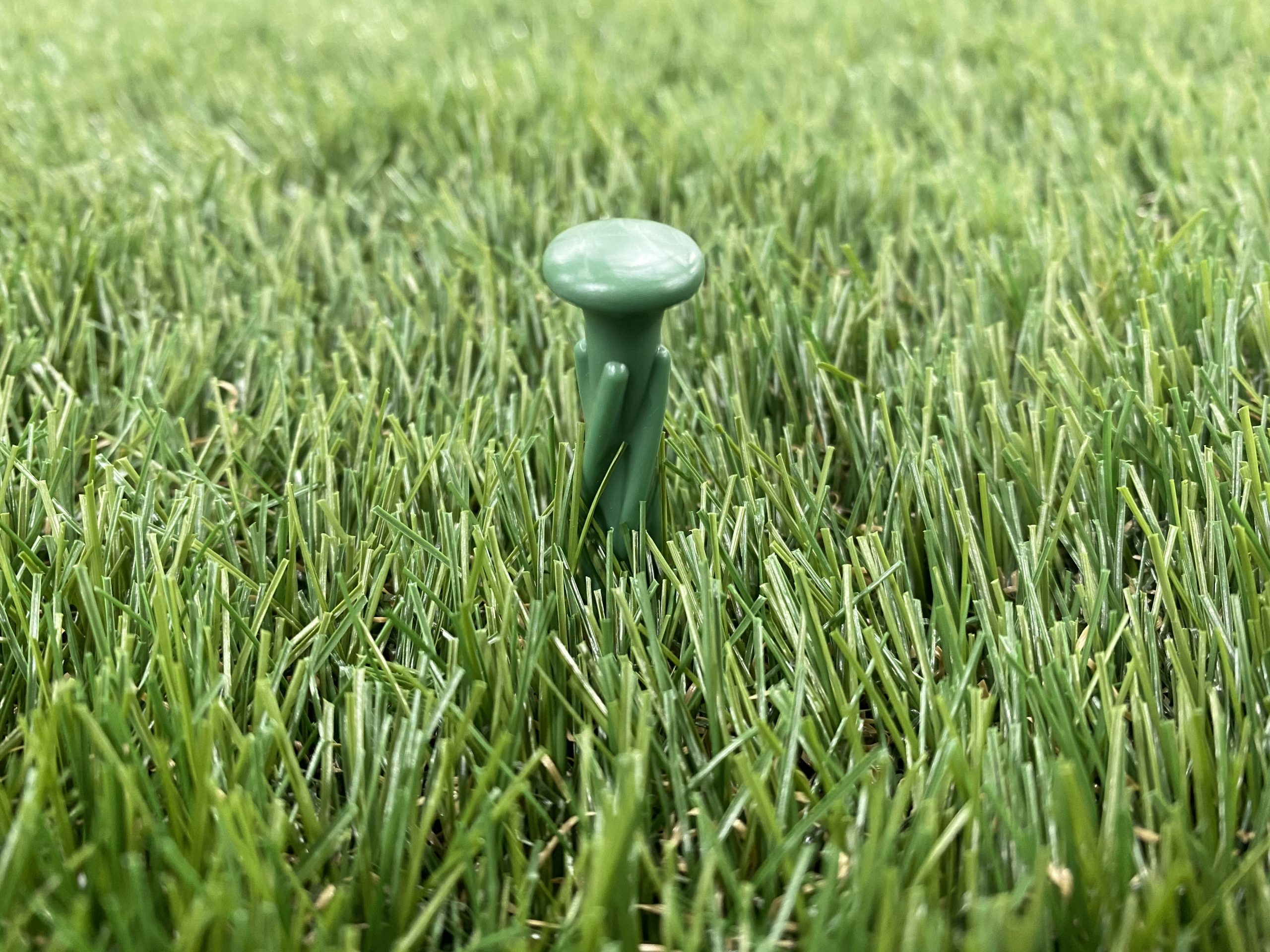 裸足で歩ける安心感！【人工芝押さえポリカピン】 | 第一ビニール株式会社