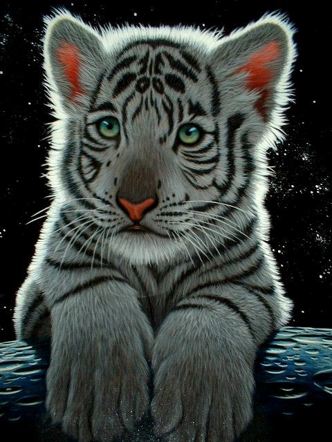 シムシメール クラウンジュエル（オリジナル直筆原画)