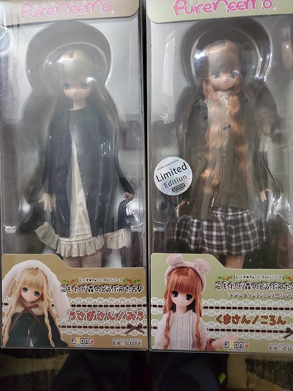 Denise's Dolls ~ Your Japan Doll Connection!