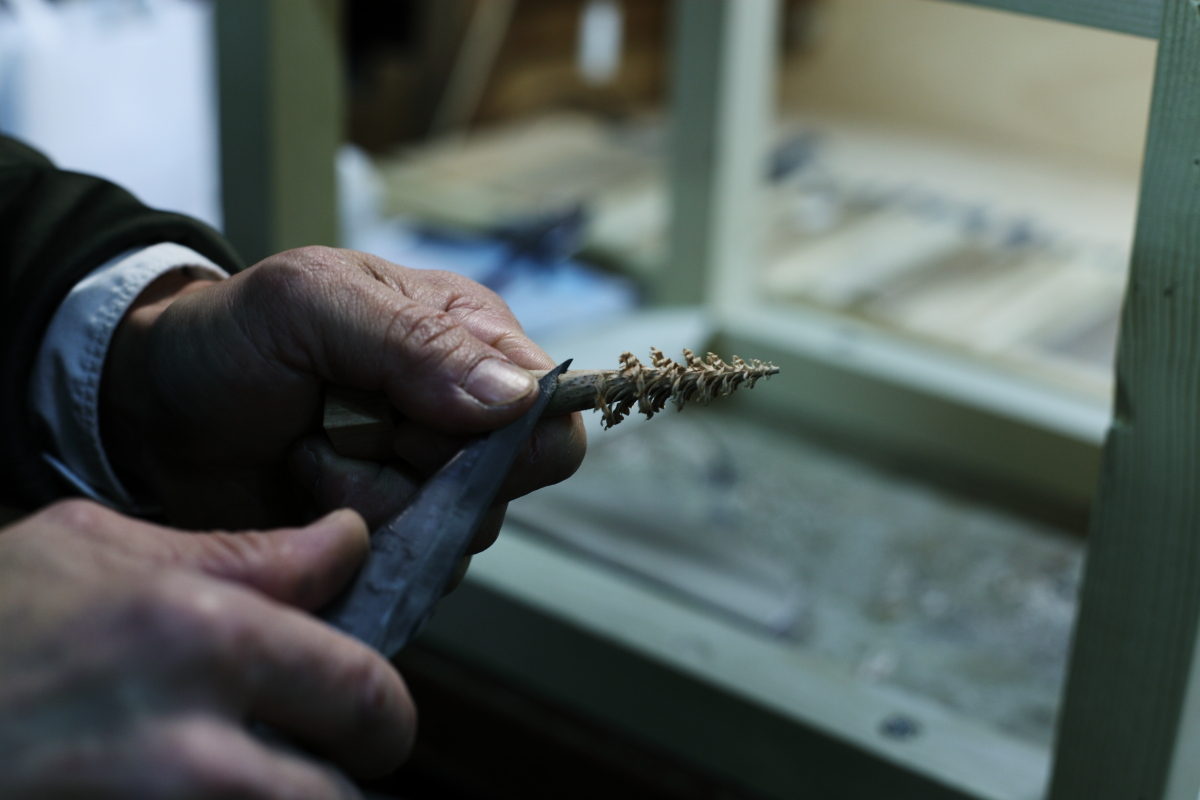 小さな樹が生まれる場所 coguさんのミニツリーcogu no mori | drop