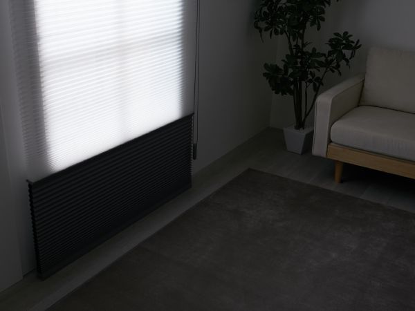 ツインタイプのハニカムシェード（スクリーン）とは | オーダー