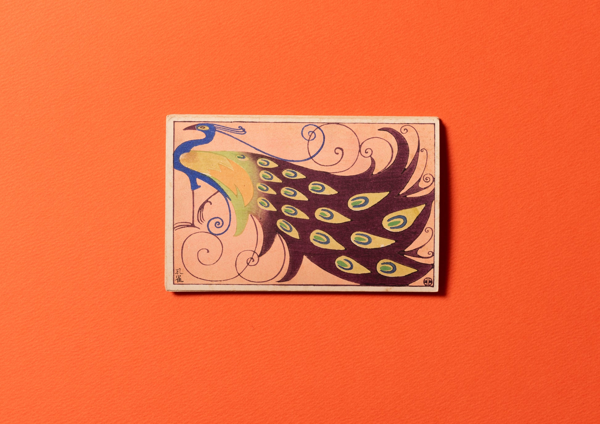 20230214_001_1946x.jpg?v=