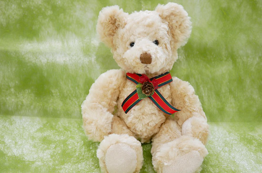 クリスマス ベア｜冬限定のぬいぐるみ祝電ギフト【For-Denpo】