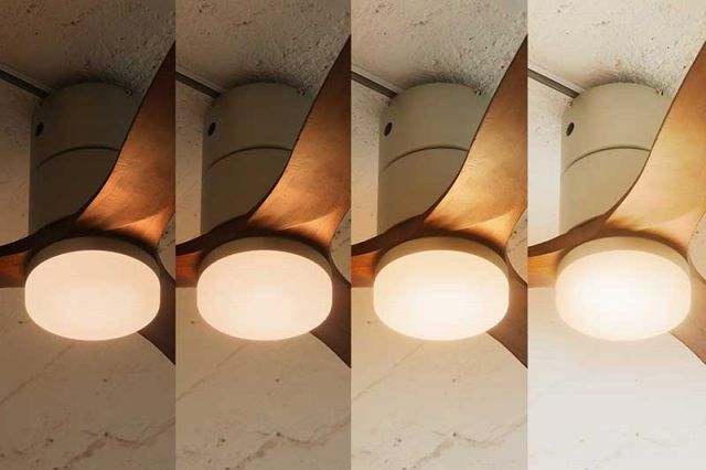 JAVALO ELF Modern Collection REAL wood blades JE-CF017-WH ライフ