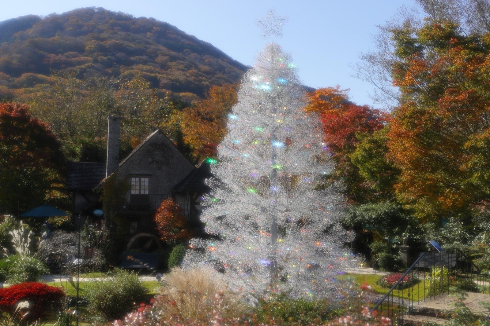 箱根ガラスの森美術館のクリスマスイルミネーション、“約15万粒の