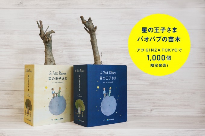 星の王子さま』のバオバブの苗木、銀座ソニーパークで1,000個限定発売