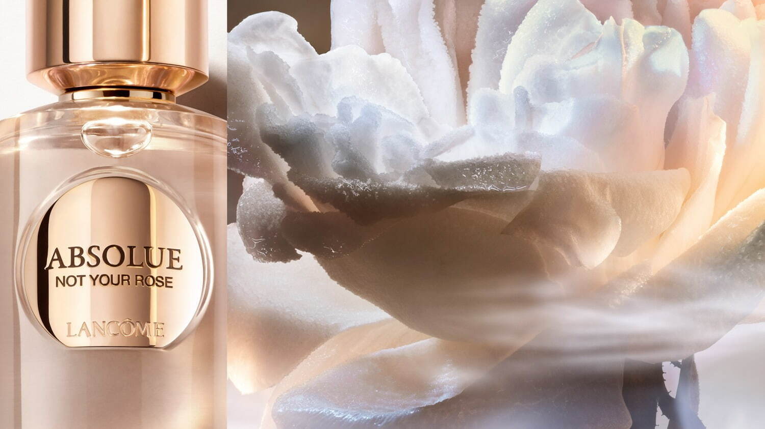 ランコム最高峰フレグランス「アプソリュ レ パルファン」24年冬誕生