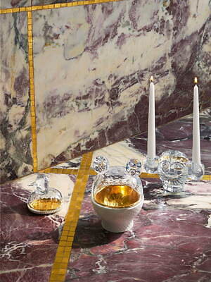 バカラ“動物モチーフ”のクリスタル「ファウナクリストポリス」新作、鳥