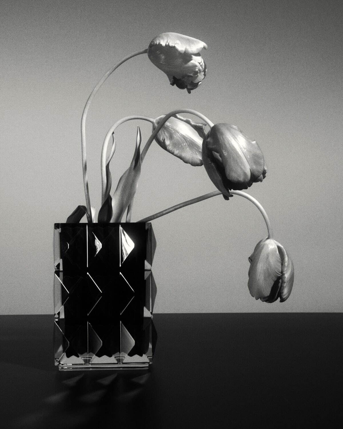 サンローラン初のライフスタイルカテゴリー誕生、黒のバカラグラスや