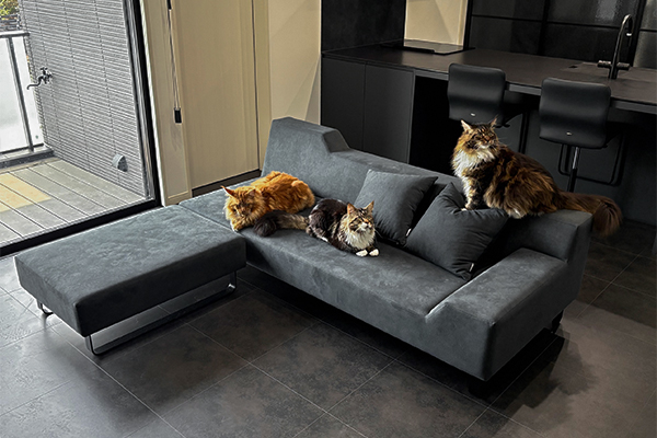 SIESTA 3人掛け + SIESTA スツールラージ | お客様の声 | ソファ専門店