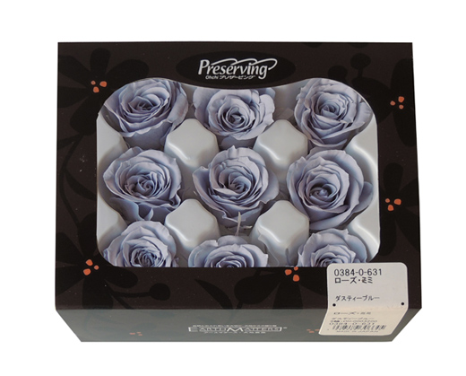 アウトレット・大地農園・ローズ9輪【ミミ】 | プリザーブドフラワーKnext