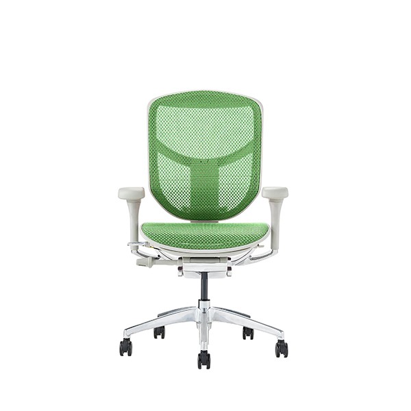 EJ2-LAM-GF-GN【送料無料】 | エルゴヒューマン Ergohuman ENJOY2通販