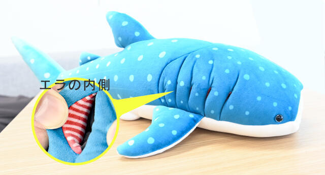 飼育員のこだわりが詰まった「ぬいぐるみエラ付ジンベエザメ」が完成