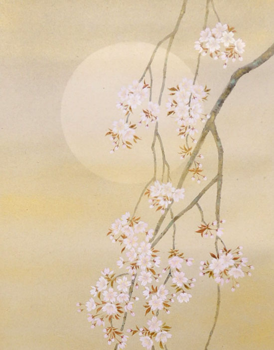 掛け軸 枝垂れ桜 （三宅和光） （掛軸小物なし） 送料無料 【掛軸