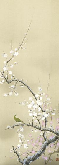 紅白梅に鴬 北条静香 尺五立 （冬）！ 冬 - 掛け軸（掛軸）販売通販