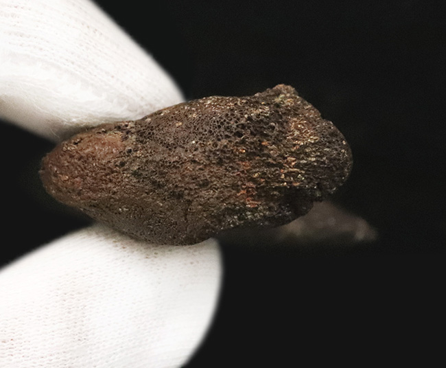 社史に残る1本！歴代トップクラス、いや、トップといって良い。極めて