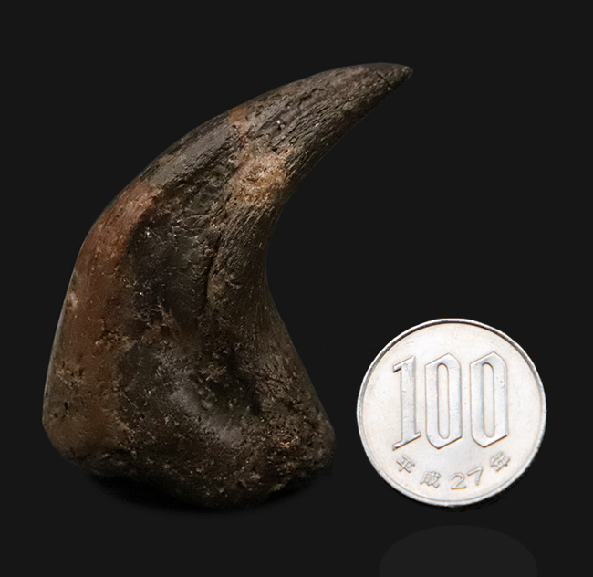 社史に残る1本！歴代トップクラス、いや、トップといって良い。極めて