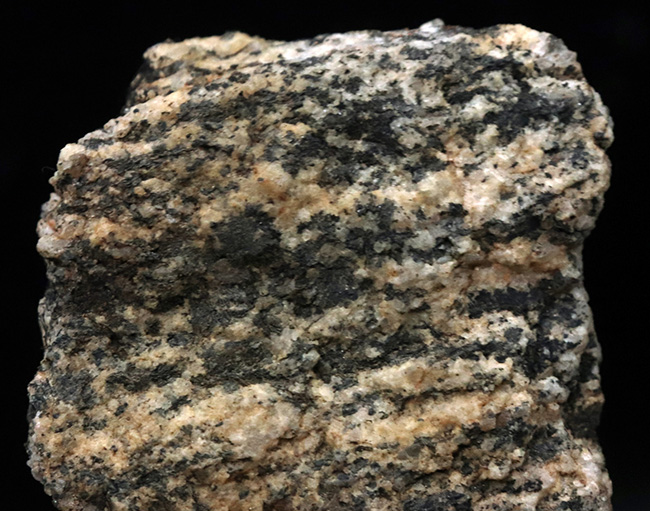 現在、最後の在庫！南極観測隊員が所有していた南極の石（オングル石