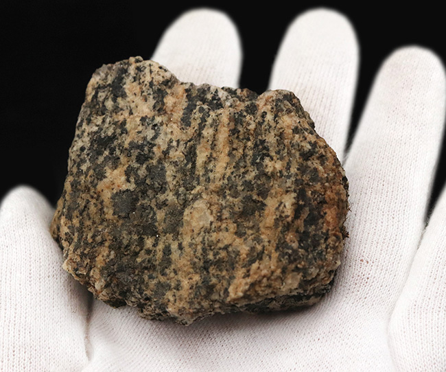 現在、最後の在庫！南極観測隊員が所有していた南極の石（オングル石